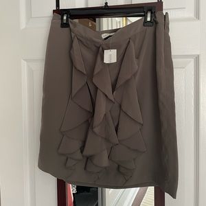 Banana Republic Skirt